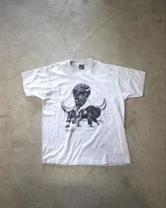 90s USA製 BEST フルーツオブザルーム バイソン アニマルTシャツXL