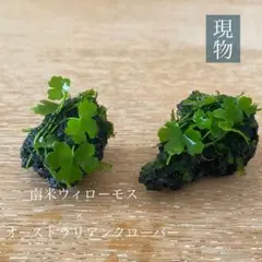 2026年最新】dooaの人気アイテム - メルカリ