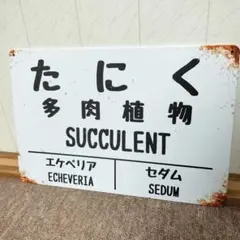 国鉄駅名標風　多肉植物ブリキ看板