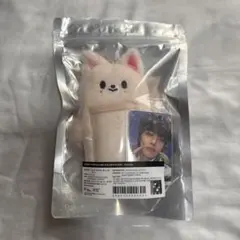 2025年最新】skzoo アイエンの人気アイテム - メルカリ