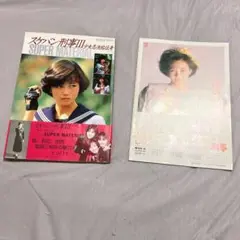 スケバン刑事 III SUPER MATERIAL & 風間三姉妹の逆襲