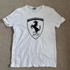 PUMA フェラーリロゴ Tシャツ L ホワイト
