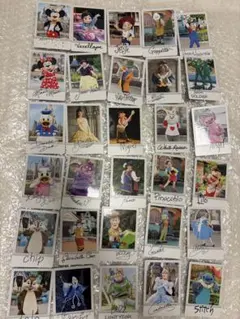 東京ディズニーリゾート コレクションカード 全30種コンプリートセット 