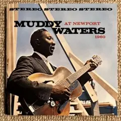 ◾️ブルース傑作■オリジナル盤◾️MUDDY WATERS■マディーウォーターズ■S オリジナル / Muddy Waters マディウォーターズ / Pete Cosey