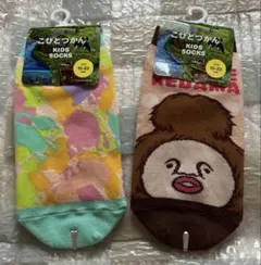 こびとづかん　かくれけだま　靴下　キッズ　15〜22㎝程