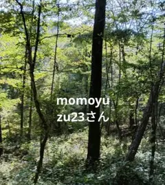 サンタクロース マトリョーシカ 7個セット