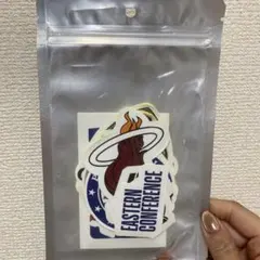 NBA ステッカーセット マイアミ・ヒート