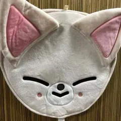 stray kids アイエン うちわカバー フォクシニー skzoo - メルカリ