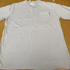 Item thumbnail for item 737d1dfd-dcd8-4224-8b2d-a76536ac6b3c