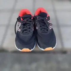 Item thumbnail for item 68dc52a6-352d-412f-8190-28de7d46617e