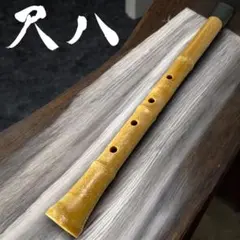 尺八 二部式 樹脂製本体 Amazon | 尺八 樹脂製 1尺8寸管 key D （完全調律尺八 悠) | 尺