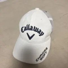 Item thumbnail for item 4bb1f88d-91c2-4254-aad7-ab1eada8aa94