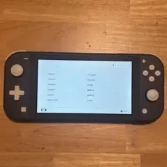 Nintendo Switch Lite グレー 本体