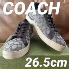 コーチ COACH スニーカー 28cm シグネチャー 黒 グレー 新品未使用 