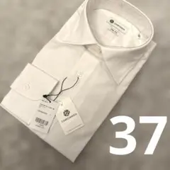 Item thumbnail for item 81a6e9ec-e6ed-4a2e-9def-a8b944aa518e