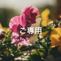 ぶんぶん様 リクエスト 2点 まとめ商品