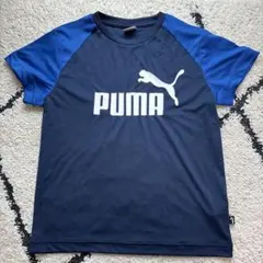 PUMA ネイビー/ブルー ラグランTシャツ