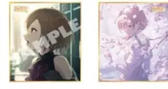 プロセカ ミニ色紙 MEIKO