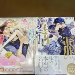 Item thumbnail for item 9d349543-74a0-4c47-84a6-74f4637ba833