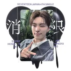 ディノ トレカ 消費期限 タワレコ特典 seventeen