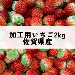 いちご　イチゴ　苺　食べ比べ　減農薬　新鮮 いちご イチゴ 苺 食べ比べ 減農薬 新鮮 - メルカリ