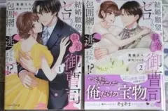 結婚願望ゼロなのに、執着系御曹司の包囲網から逃げられません!? 全2巻