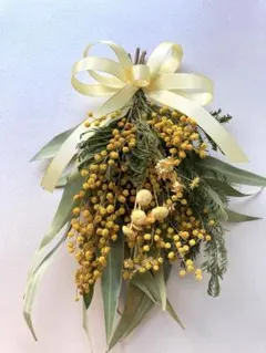 Item thumbnail for item 1bf53582-6ba0-48d8-a931-4e49000aefac