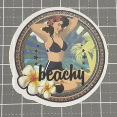 【QQQ-68】防水ステッカー ビーチ 海 南国 ハワイ ハワイアン プルメリア