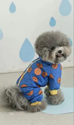 犬レインコート