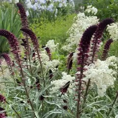 木村美晴様 リクエスト 2点 まとめ商品