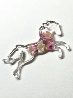 Item thumbnail for item 56b37d91-8238-4ec9-843f-bd5479f9d7c4