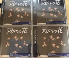 【未開封セット】アガベの花　MATSURI CD 4枚セット