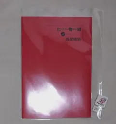 【新品未読】化物語 西尾維新 書き下ろし短々編「ひたぎフィギュア」