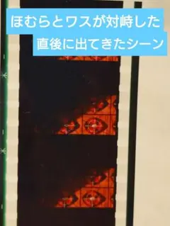 魔法少女まどかマギカ　フィルム　特典　コマフィルム