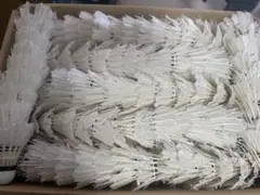 Item thumbnail for item 33563361-849b-437d-81f2-303a485aa638