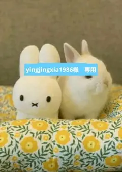 yingjingxia1986様　専用