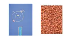 2026年最新】ポールオキパンティの人気アイテム - メルカリ