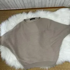 インタープラネット ベージュ ストライプ ニット 五分袖