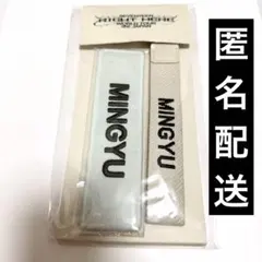 SEVENTEEN セブチ ワッペン＆マルチストラップ MINGYU ミンギュ - メルカリ