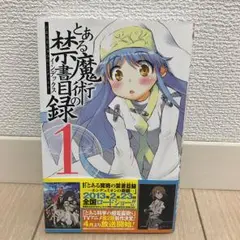 とある魔術の禁書目録 1/近木野 中哉, 鎌池 和馬