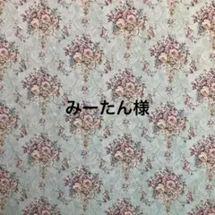 みーたん様専用ページ