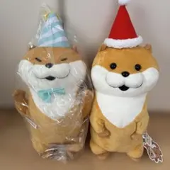 2025年最新】可愛い嘘のカワウソ ぬいぐるみの人気アイテム