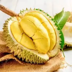激安販売【即発送】ベトナム産ドリアン 2.1-2.4kg1玉 - メルカリ