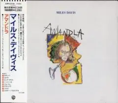 Miles Davisマイルス・デイビス/Amandla