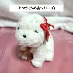 2026年最新】うめ吉の人気アイテム - メルカリ