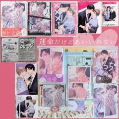 運命だけどあいいれない1～2巻セット アニメイト コミコミ とらのあな 小冊子