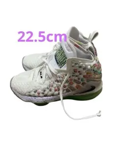 Item thumbnail for item 28442c2e-bc19-4f33-962e-bc85069a6efb