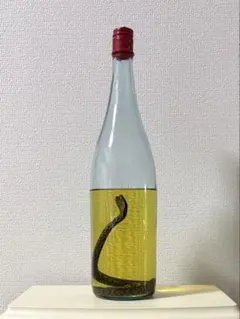 2026年最新】マムシ焼酎の人気アイテム - メルカリ