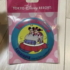 新品⭐︎ディズニー　缶バッジ