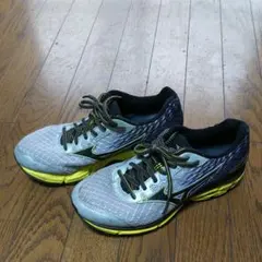 ミズノ ウェーブライダー 19  25.0㎝